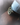 Pre-owned watch closeup with a teal background.
