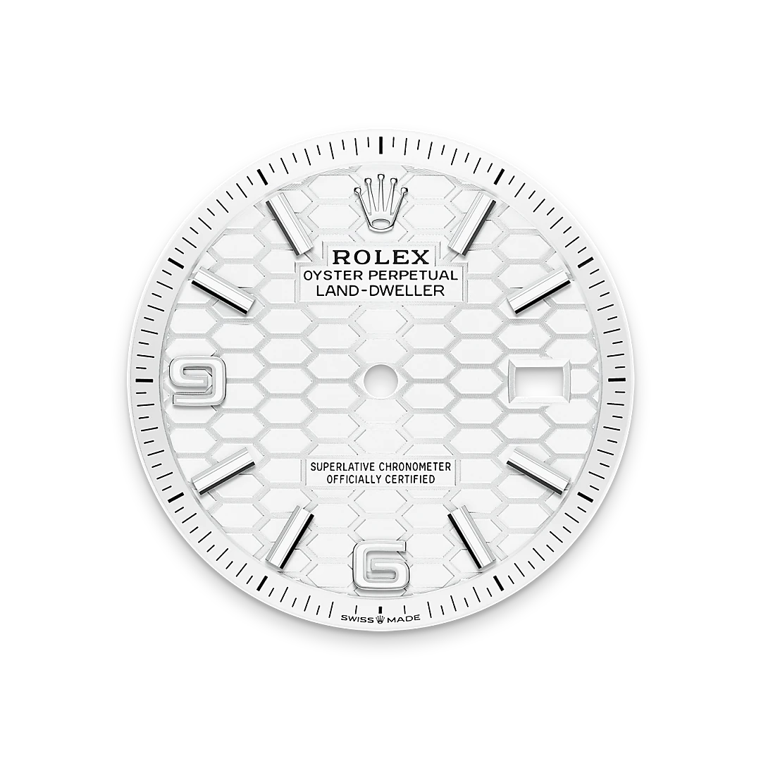 Rolex Land-Dweller in White Rolesor - combination of Oystersteel and white gold, M127234-0001 - IJL Since 1937