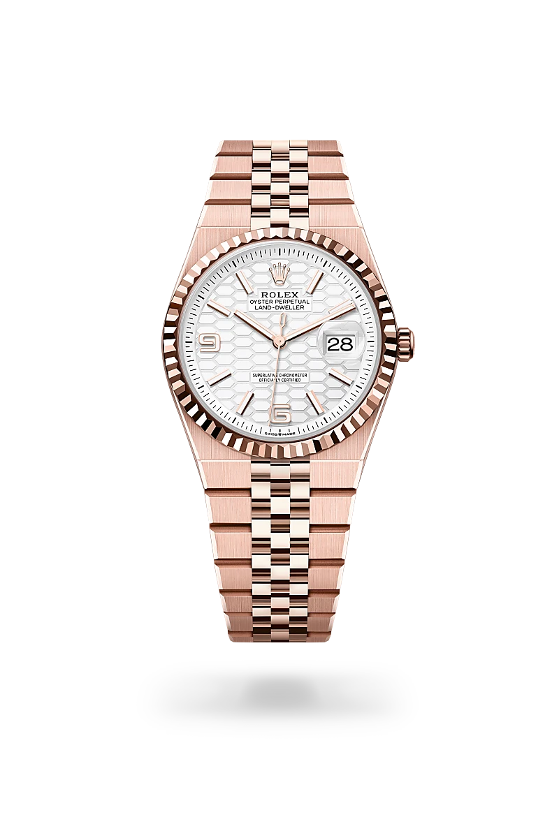 Rolex Land-Dweller in 18 ct Everose gold, M127235-0001 - IJL Since 1937