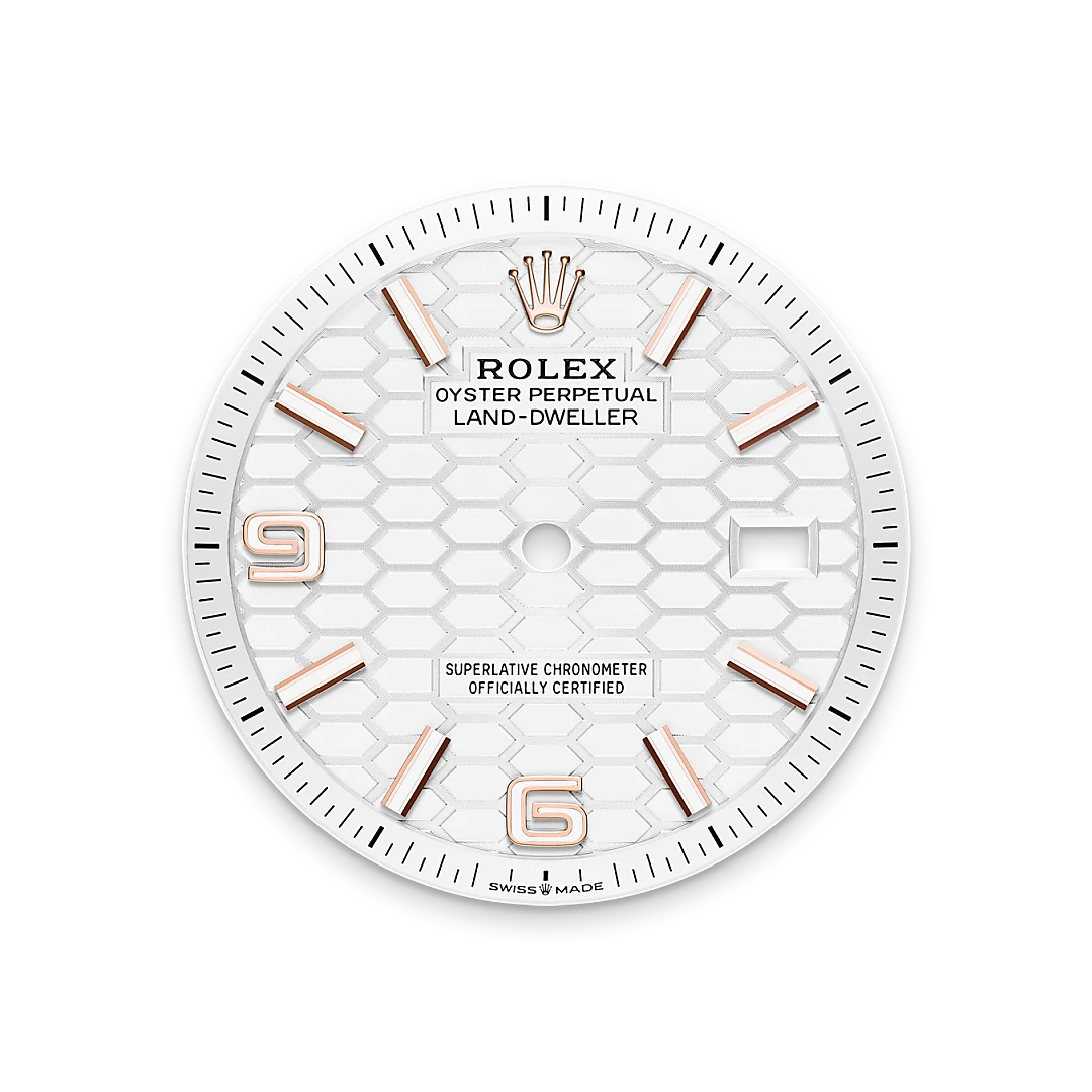 Rolex Land-Dweller in 18 ct Everose gold, M127235-0001 - IJL Since 1937