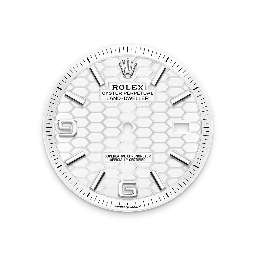 Rolex Land-Dweller in White Rolesor - combination of Oystersteel and white gold, M127334-0001 - IJL Since 1937