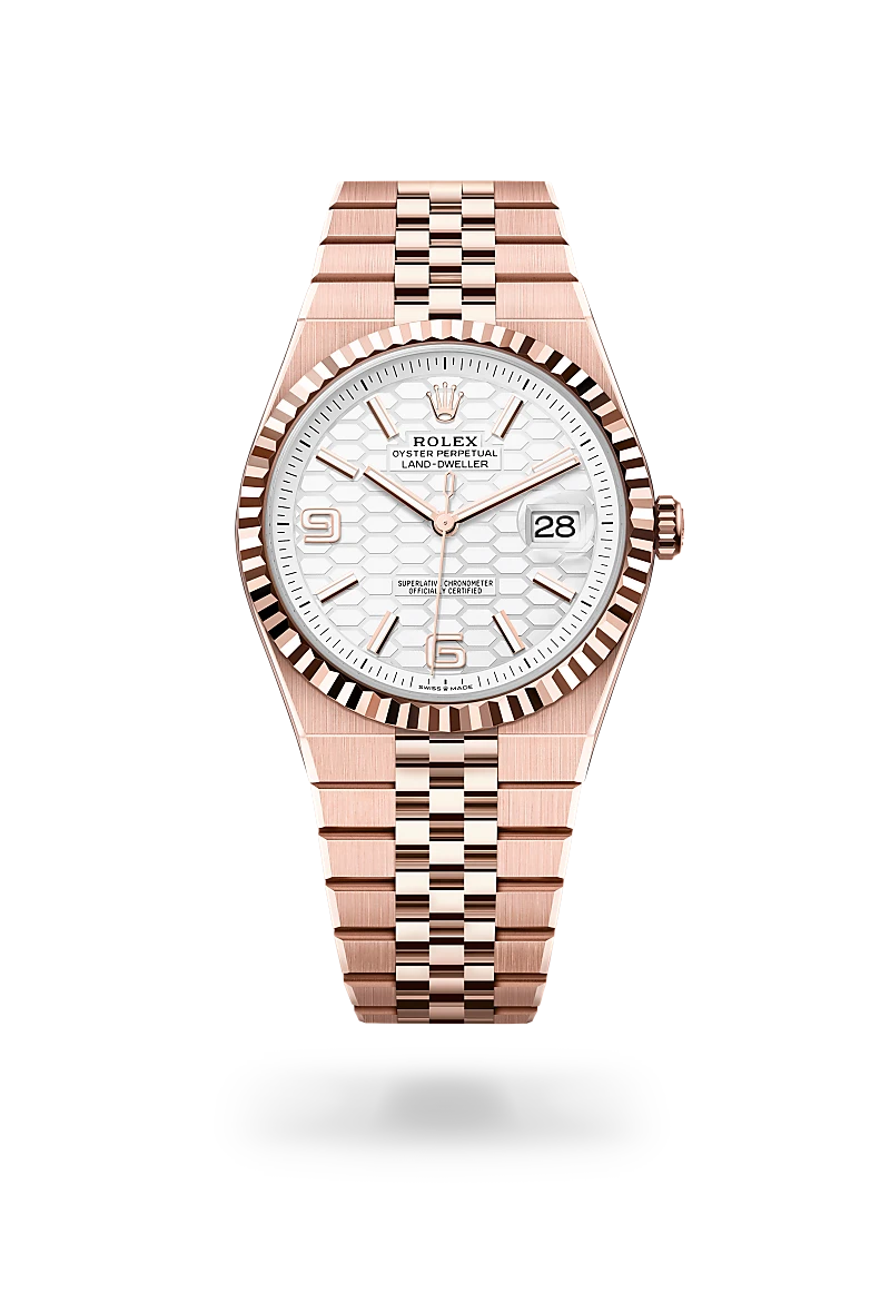 Rolex Land-Dweller in 18 ct Everose gold, M127335-0001 | IJL Since