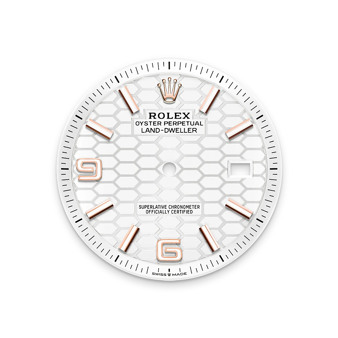 Rolex Land-Dweller in 18 ct Everose gold, M127335-0001 - IJL Since 1937