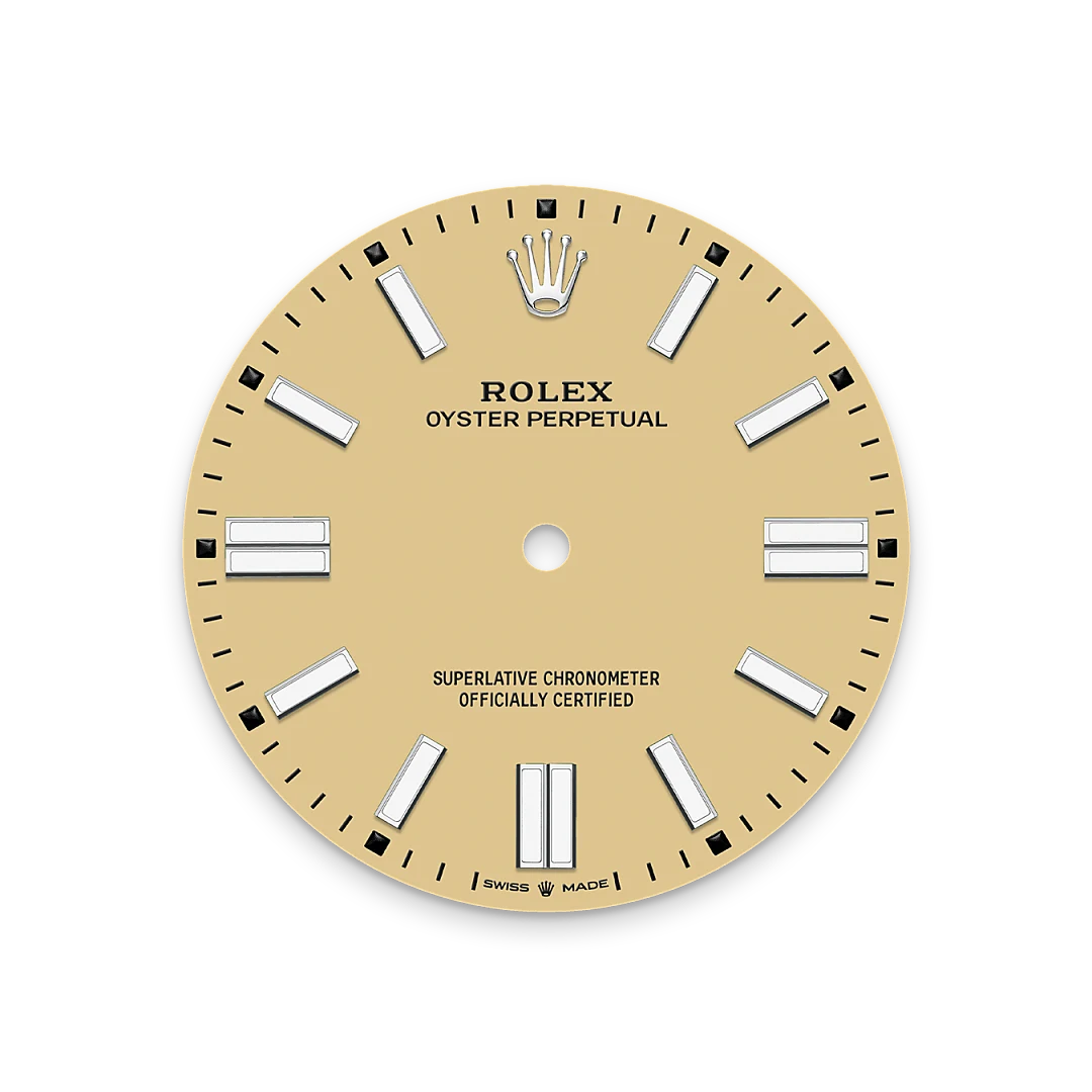 Rolex Oyster Perpetual in Oystersteel, M134300-0007 - IJL Since 1937