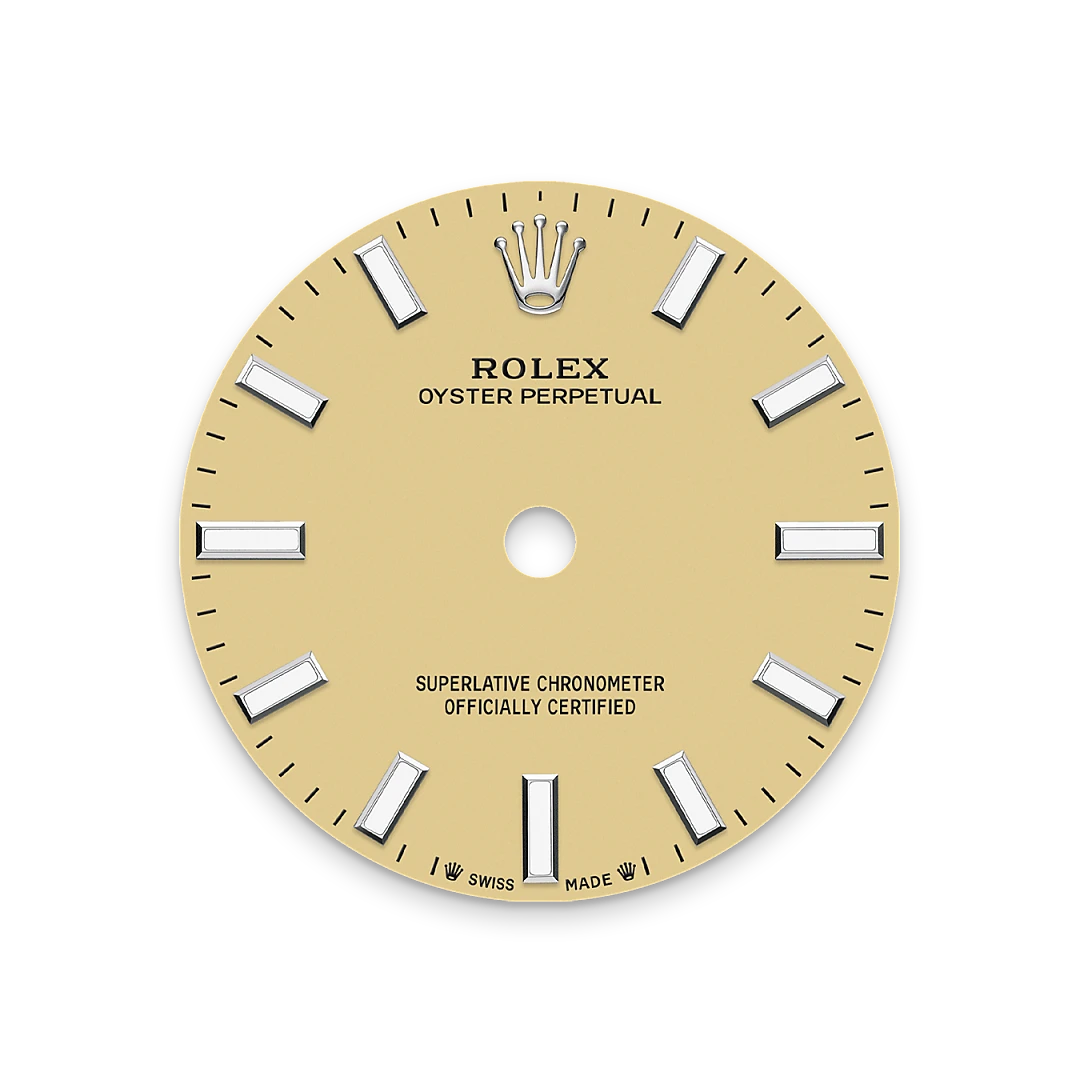 Rolex Oyster Perpetual in Oystersteel, M276200-0007 - IJL Since 1937