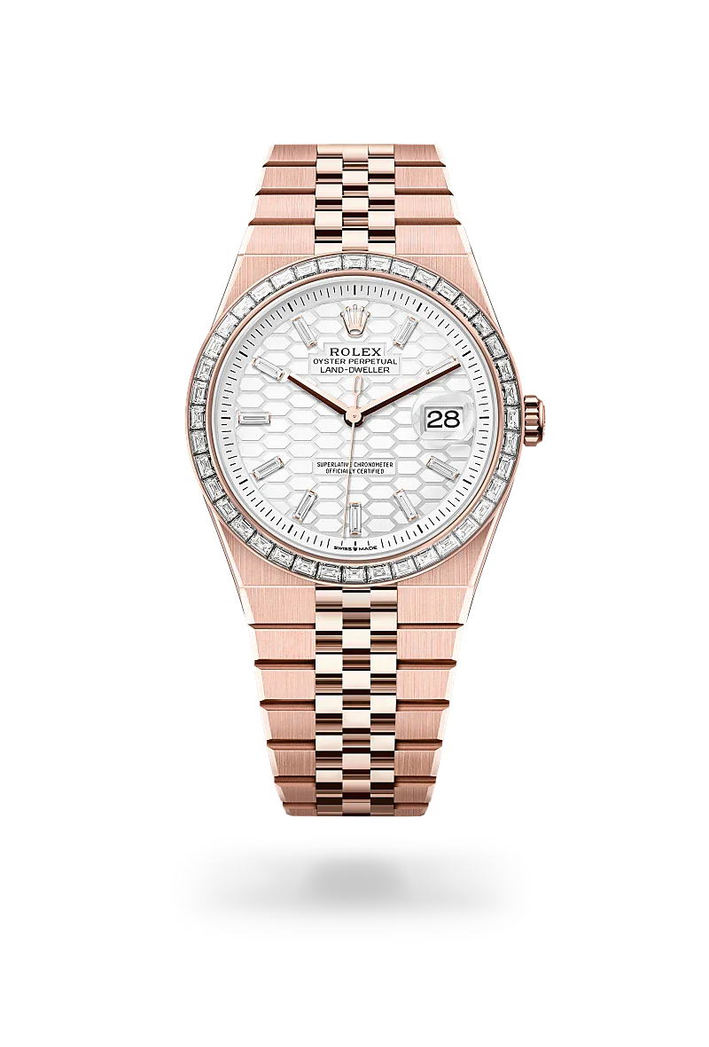 Rolex Land-Dweller in 18 ct Everose gold, M127385TBR-0003 - IJL Since 1937