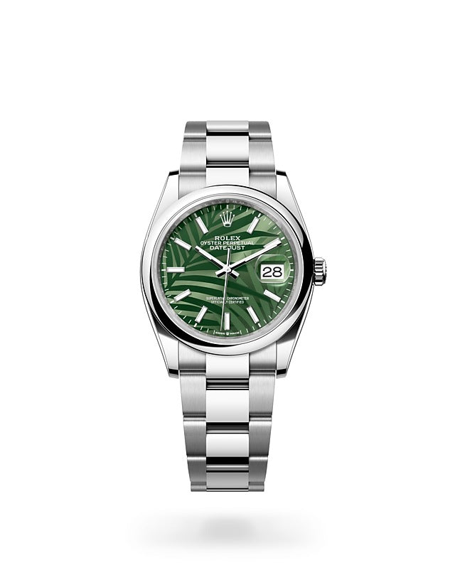 New rolex 36mm datejust top