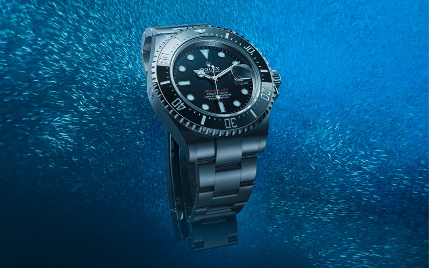 The Rolex Sea-Dweller floating under watcher with a school of fish in the background. Model #126600.