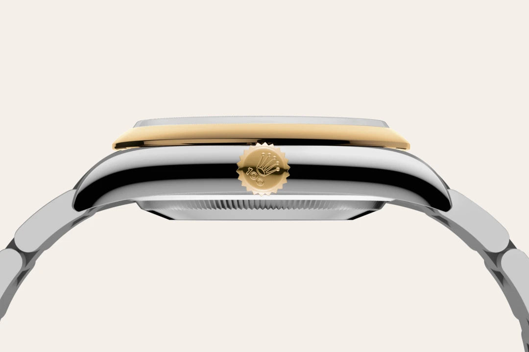 Rolex Oyster Perpetual 36 M126003-0001