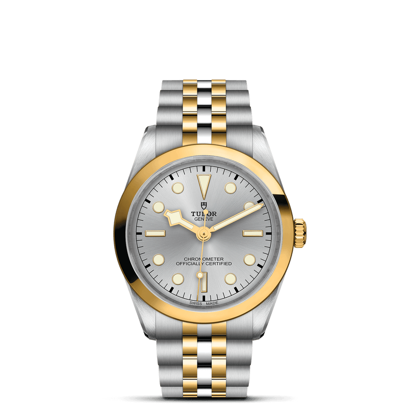 TUDOR Black Bay One 36 S&G M79643-0002, at IJL Since 1937