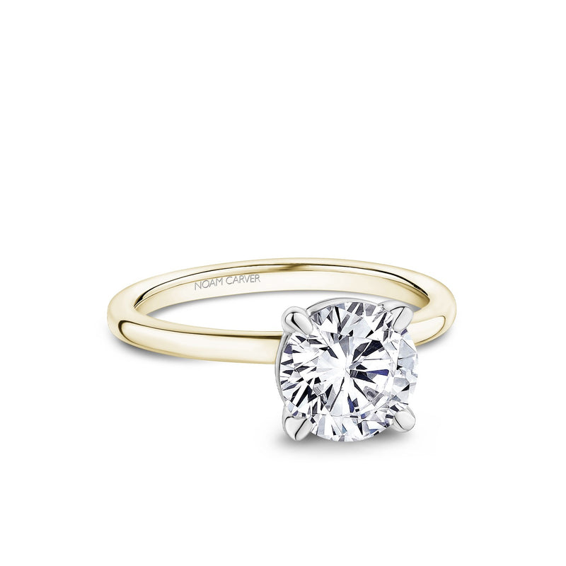 Noam Carver Round Diamond Engagement Ring