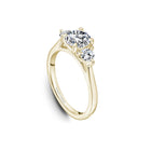Noam Carver Round Diamond Engagement Ring