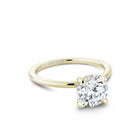 Noam Carver Round Diamond Engagement Ring