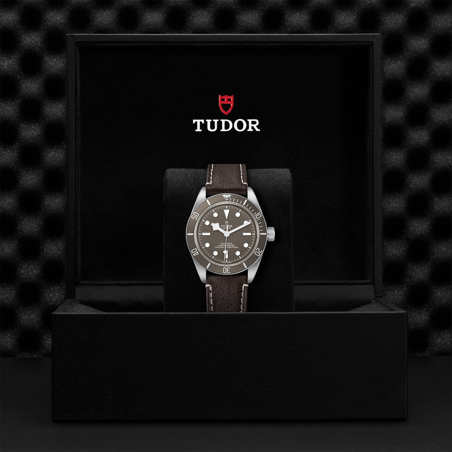 TUDOR Black Bay Fifty-Eight 925, model #M79010SG-0001, at IJL Since 1937