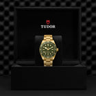 TUDOR Black Bay 58 18K