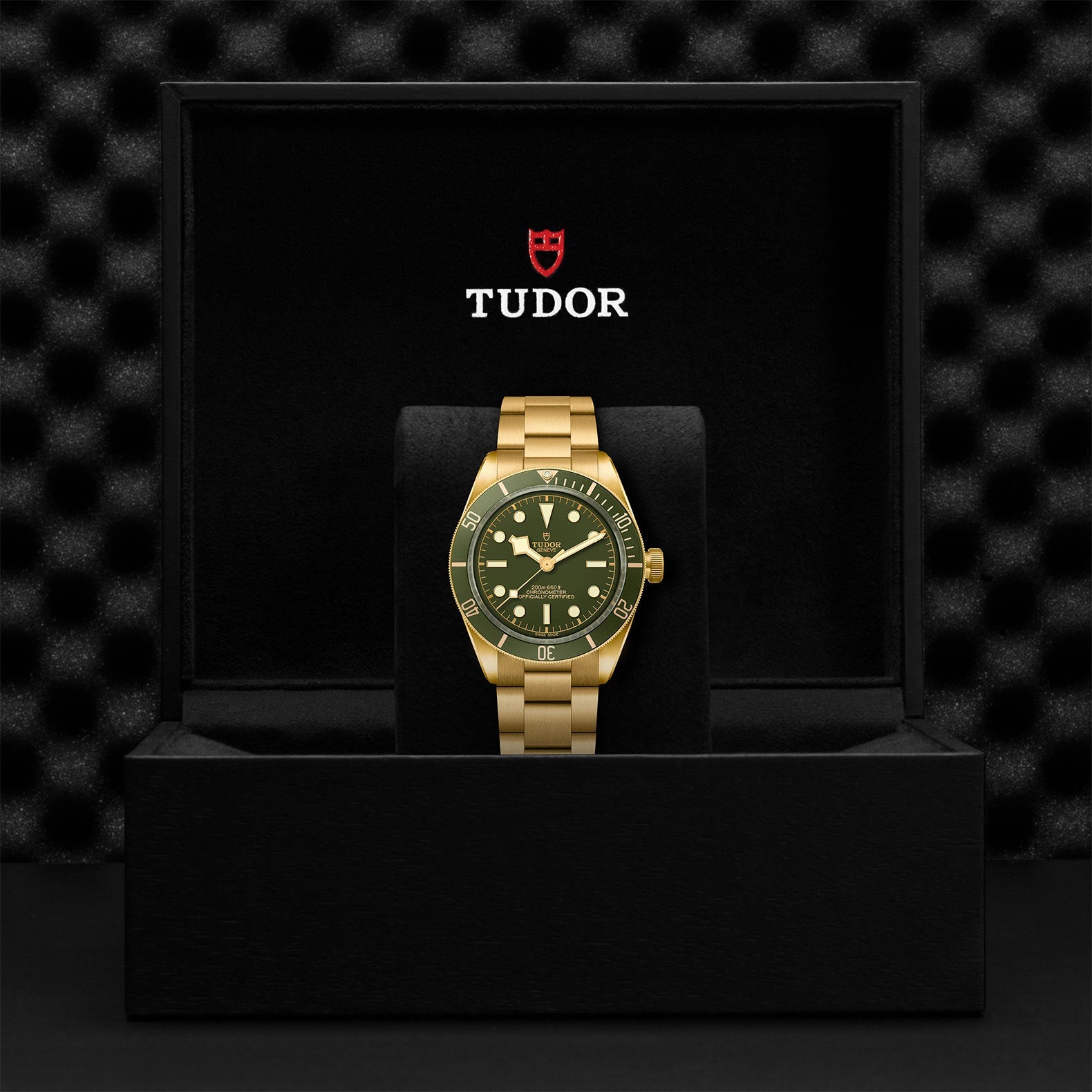 TUDOR Black Bay 58 18K
