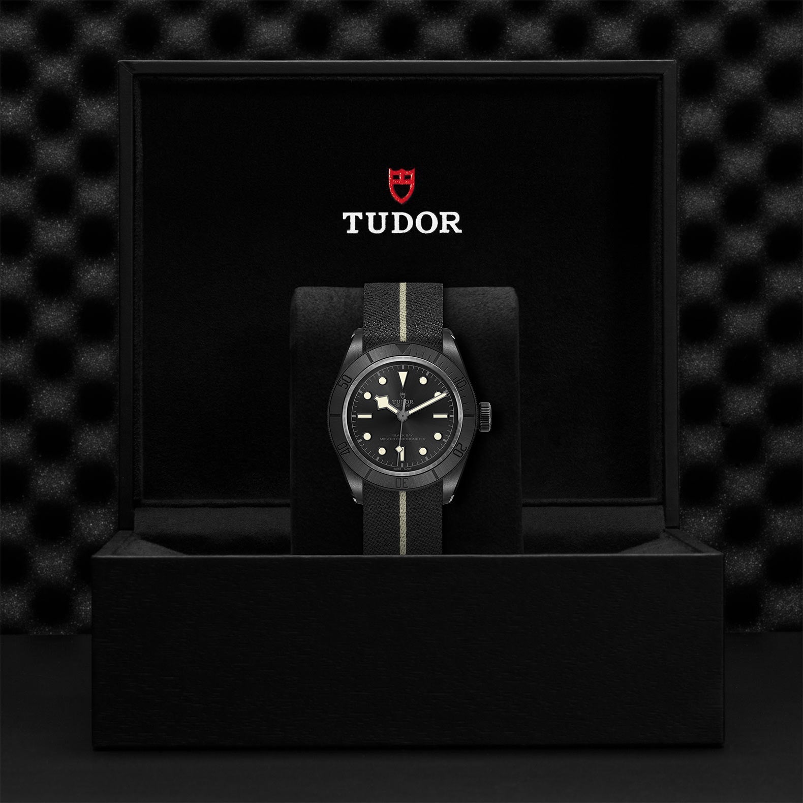 TUDOR Black Bay Ceramic, model #M79210CNU-0001, at IJL Since 1937