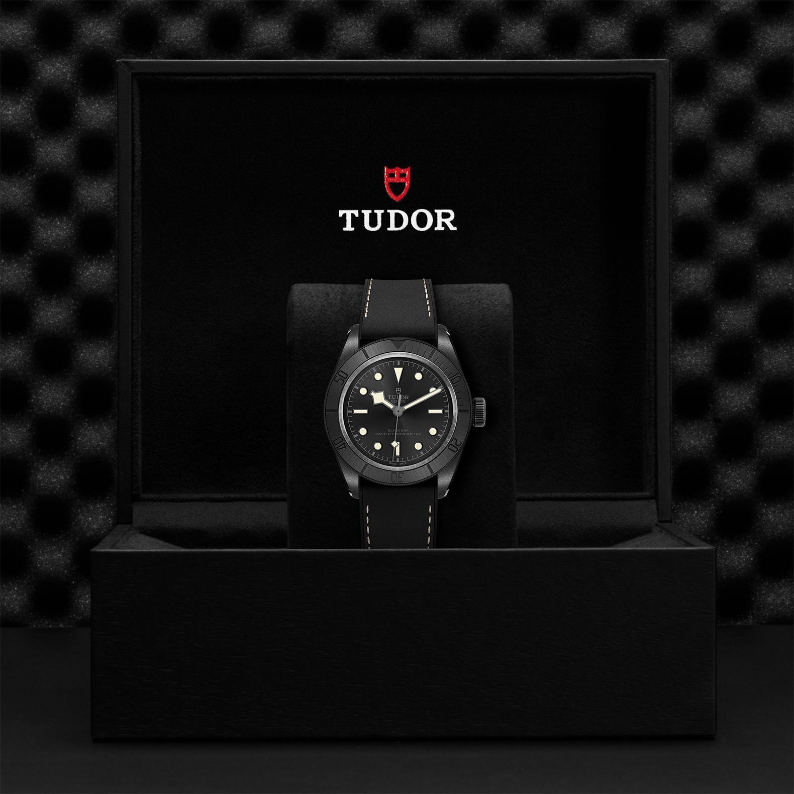 TUDOR Black Bay Ceramic, model #M79210CNU-0001, at IJL Since 1937