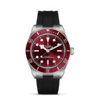 TUDOR Black Bay 58