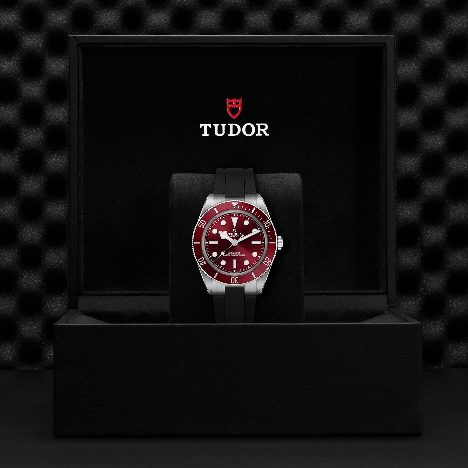 TUDOR Black Bay 58