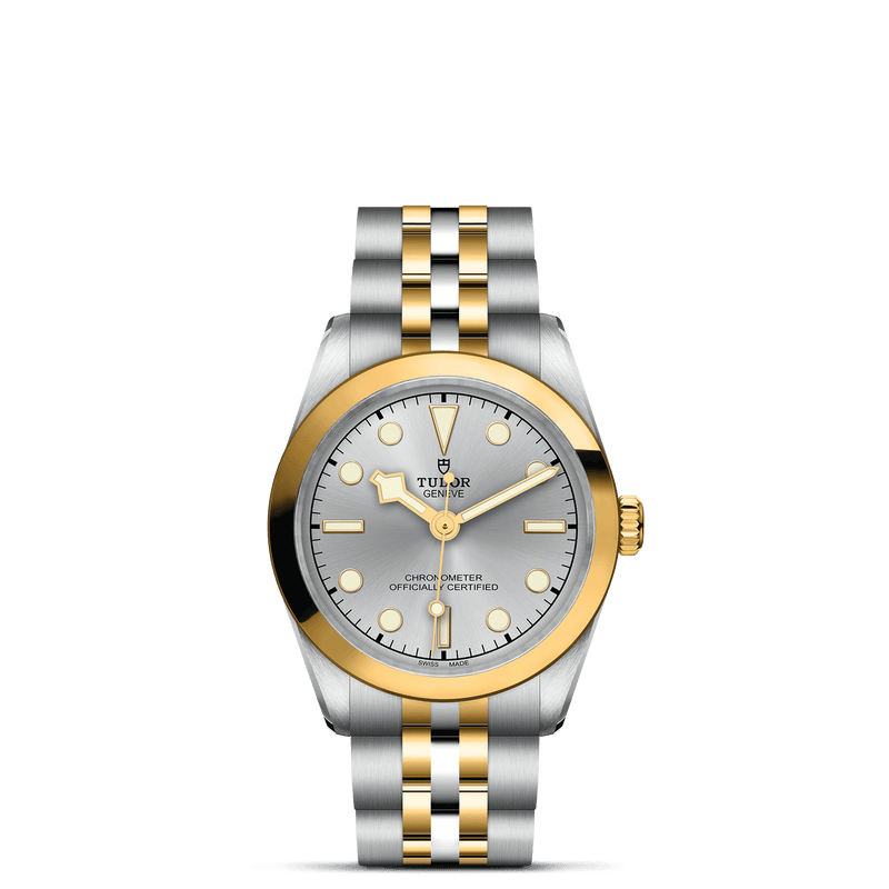 TUDOR Black Bay One 31 S&G M79603-0002, at IJL Since 1937