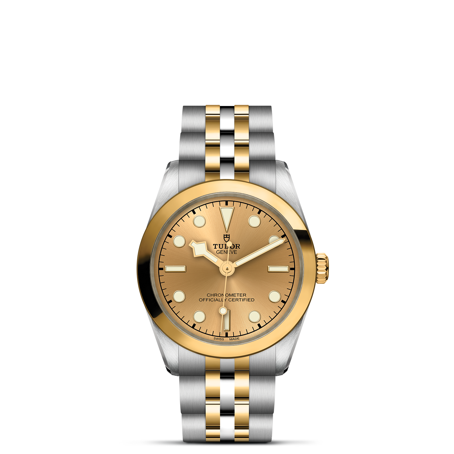 TUDOR Black Bay One 31 S&G M79603-0005, at IJL Since 1937