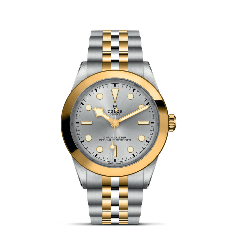 TUDOR Black Bay One 39 S&G M79663-0002, at IJL Since 1937