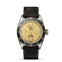 TUDOR Black Bay S&G, model #M79733N-0003, at IJL Since 1937