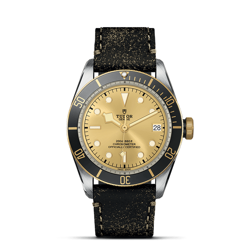 TUDOR Black Bay S&G, model #M79733N-0003, at IJL Since 1937