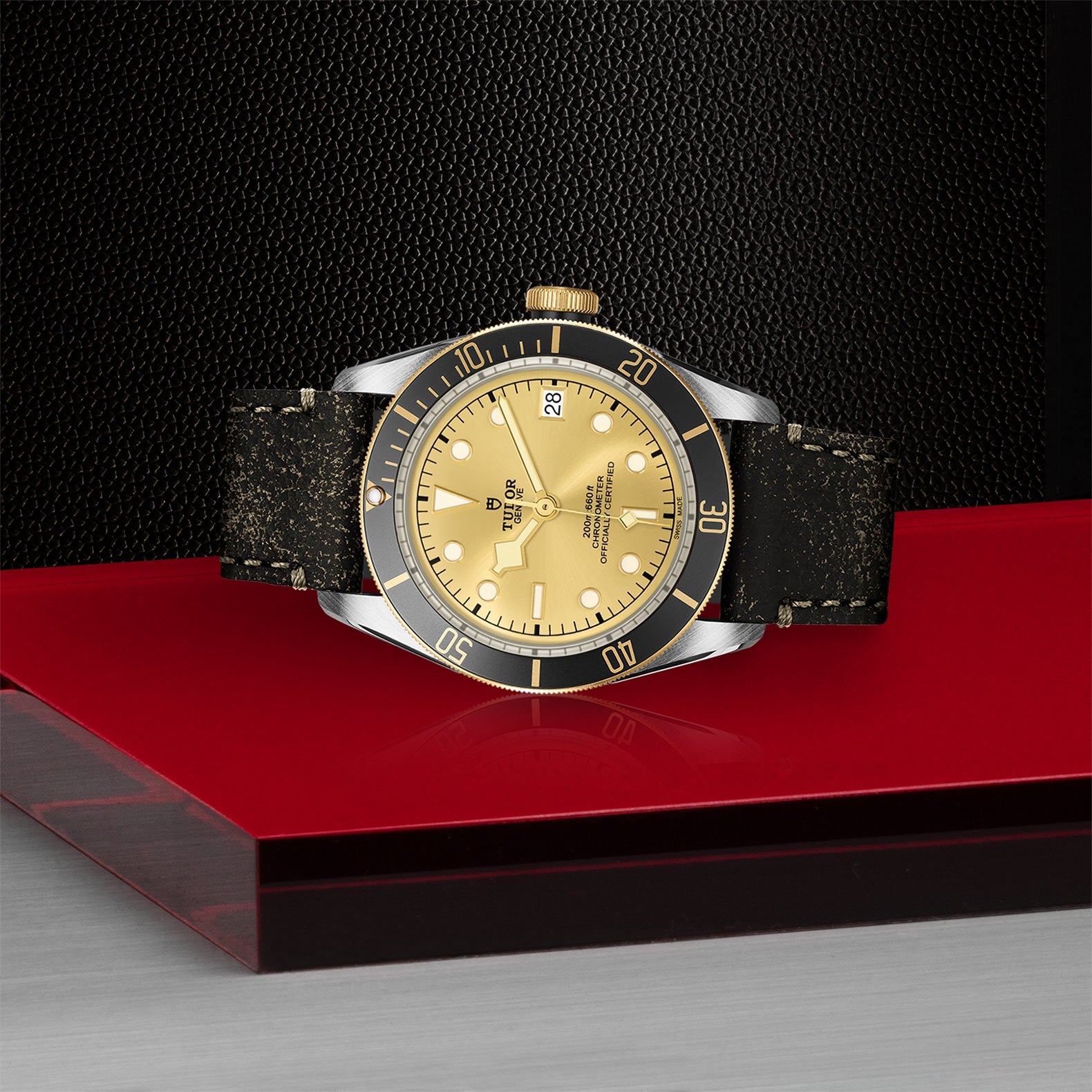 TUDOR Black Bay S&G, model #M79733N-0003, at IJL Since 1937