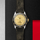 TUDOR Black Bay S&G, model #M79733N-0003, at IJL Since 1937