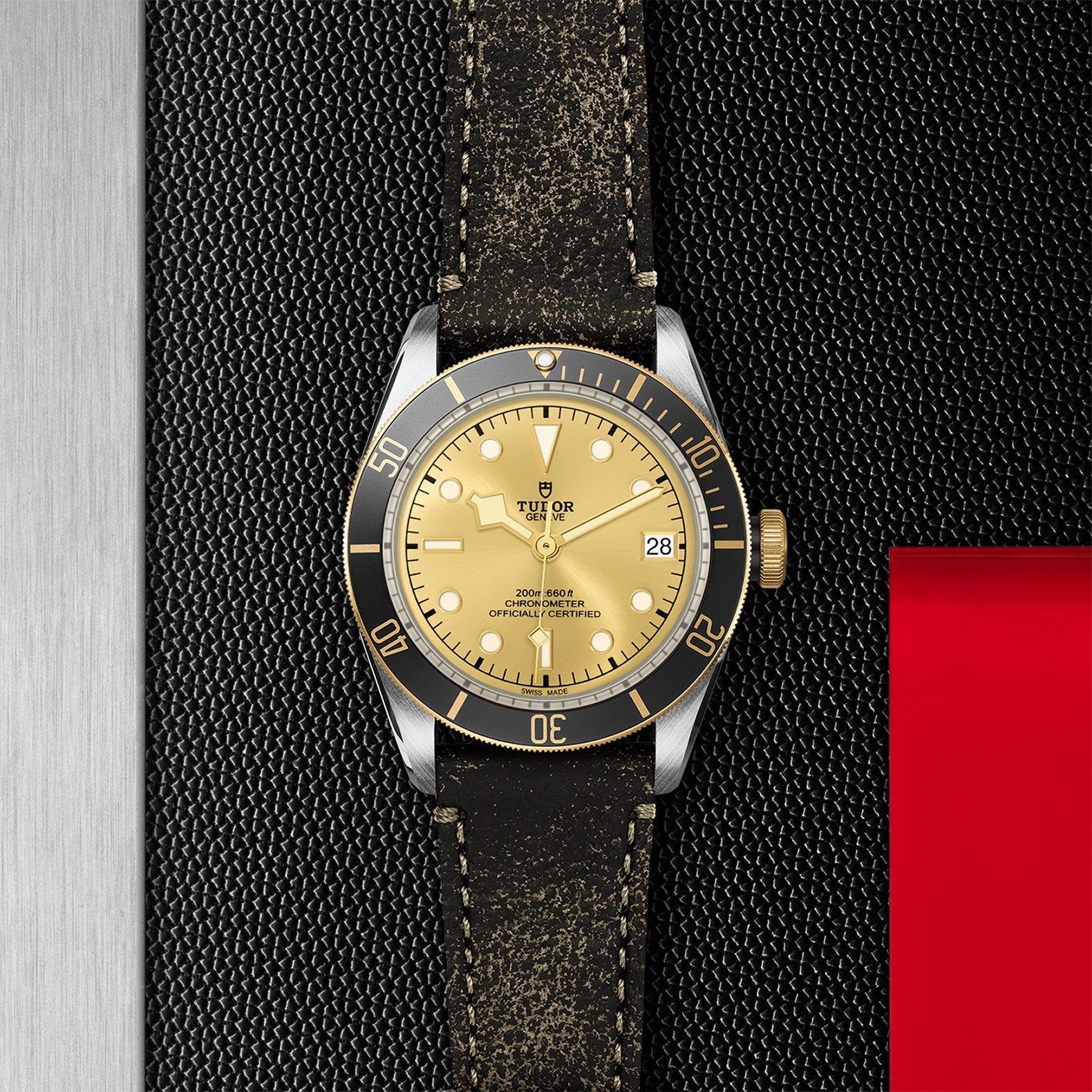 TUDOR Black Bay S&G, model #M79733N-0003, at IJL Since 1937