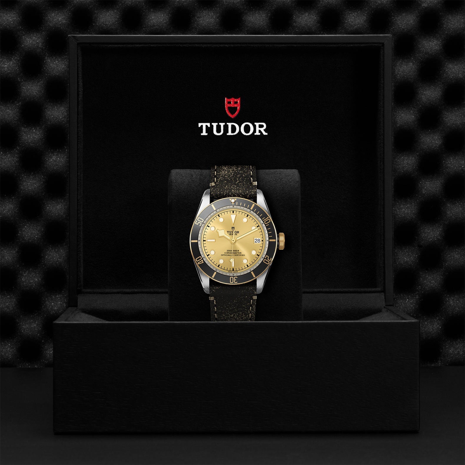 TUDOR Black Bay S&G, model #M79733N-0003, at IJL Since 1937
