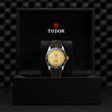 TUDOR Black Bay S&G, model #M79733N-0003, at IJL Since 1937