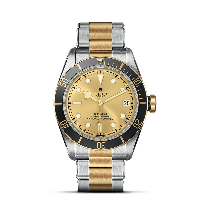 TUDOR Black Bay S&G, model #M79733N-0004, at IJL Since 1937