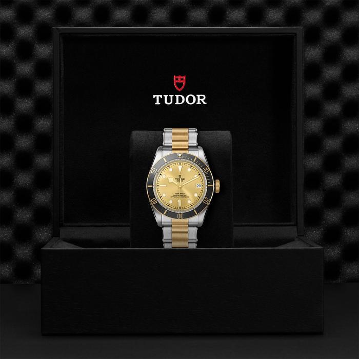 TUDOR Black Bay S&G, model #M79733N-0004, at IJL Since 1937
