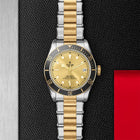 TUDOR Black Bay S&G, model #M79733N-0004, at IJL Since 1937