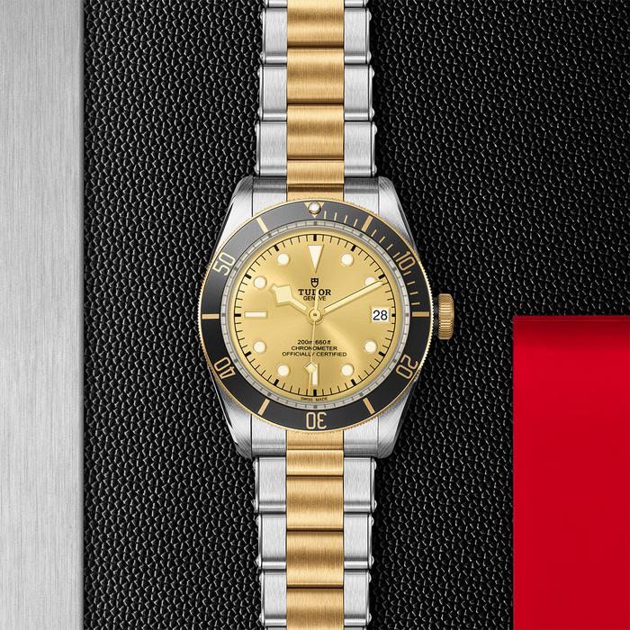 TUDOR Black Bay S&G, model #M79733N-0004, at IJL Since 1937