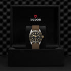 TUDOR Black Bay S&G, model #M79733N-0005, at IJL Since 1937