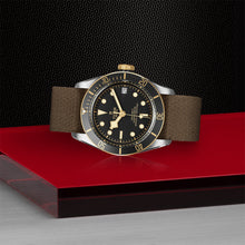 TUDOR Black Bay S&G, model #M79733N-0005, at IJL Since 1937