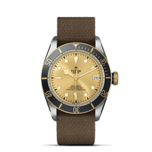 TUDOR Black Bay S&G, model #M79733N-0006, at IJL Since 1937