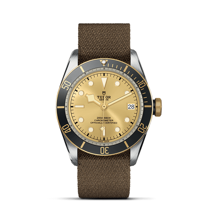 TUDOR Black Bay S&G, model #M79733N-0006, at IJL Since 1937