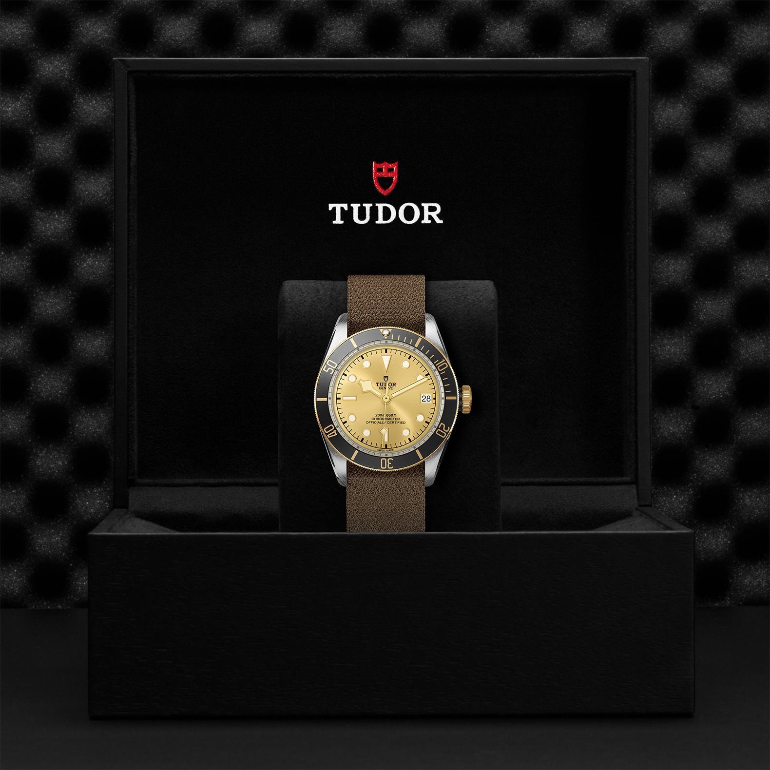 TUDOR Black Bay S&G, model #M79733N-0006, at IJL Since 1937