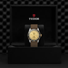 TUDOR Black Bay S&G, model #M79733N-0006, at IJL Since 1937