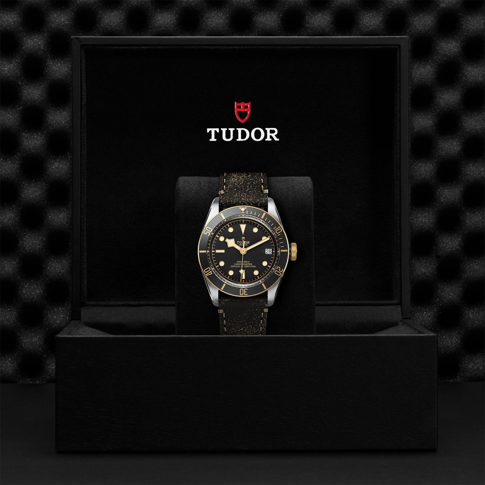 TUDOR Black Bay S&G, model #M79733N-0007, at IJL Since 1937