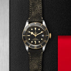 TUDOR Black Bay S&G, model #M79733N-0007, at IJL Since 1937
