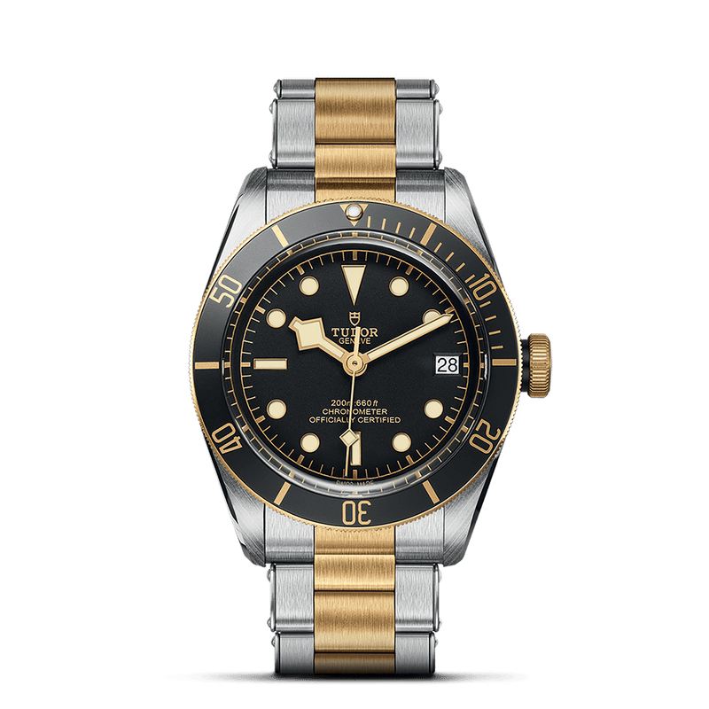 TUDOR Black Bay S&G, model #M79733N-0008, at IJL Since 1937