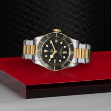 TUDOR Black Bay S&G, model #M79733N-0008, at IJL Since 1937
