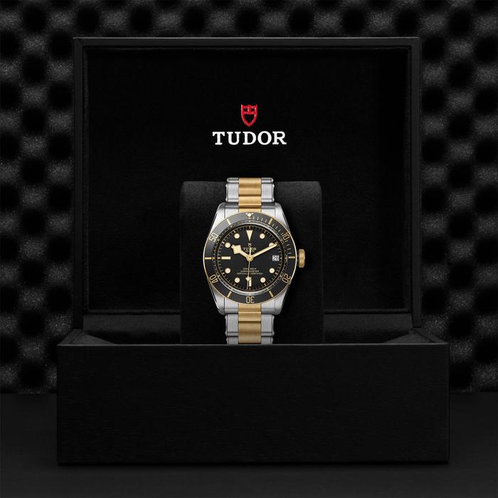 TUDOR Black Bay S&G, model #M79733N-0008, at IJL Since 1937