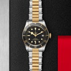 TUDOR Black Bay S&G, model #M79733N-0008, at IJL Since 1937